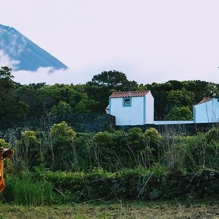 Casa Do Paim Villa São Roque do Pico Eksteriør billede