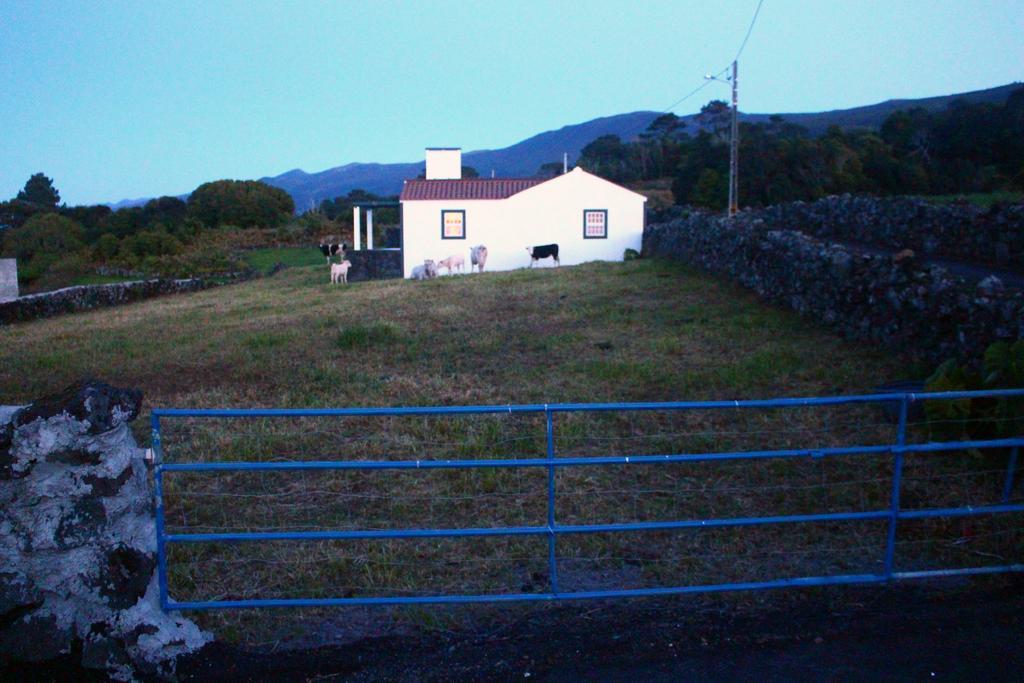 Casa Do Paim Villa São Roque do Pico Eksteriør billede