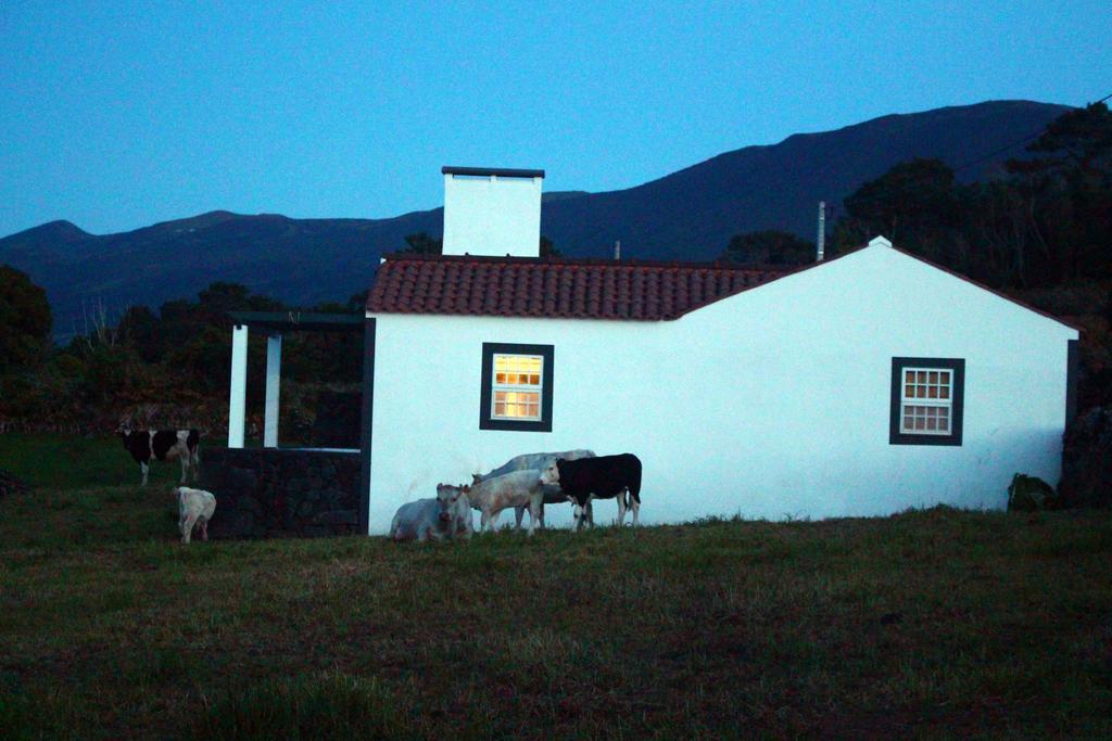 Casa Do Paim Villa São Roque do Pico Eksteriør billede