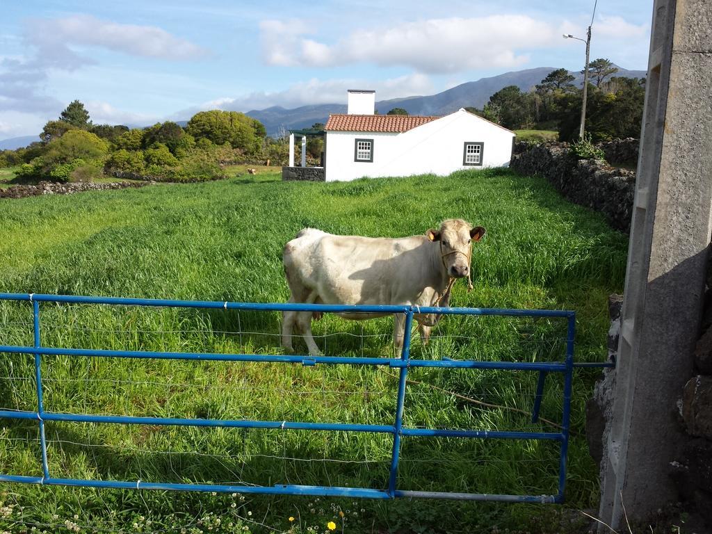 Casa Do Paim Villa São Roque do Pico Eksteriør billede