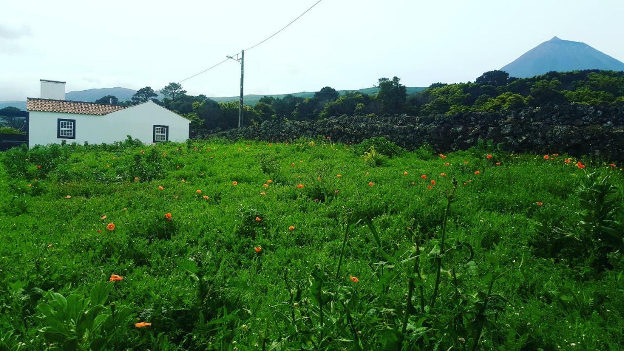 Casa Do Paim Villa São Roque do Pico Eksteriør billede